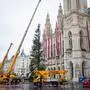 Am 27. Oktober 2023 wurde der Christbaum für den Wiener Christkindlmarkt vor dem Rathaus in Wien aufgestellt. Die 28 Meter hohe und rund 140 Jahre alte Fichte wurde im Rautal am Enneberg im Südtiroler Naturpark Fanes-Sennes-Prags gefällt.
