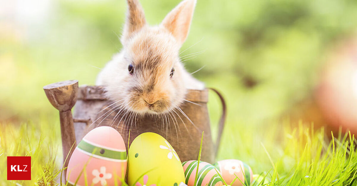 Wetter-Osterhase-hoppelt-bei-bis-zu-24-Grad-dann-folgt-K-lteeinbruch