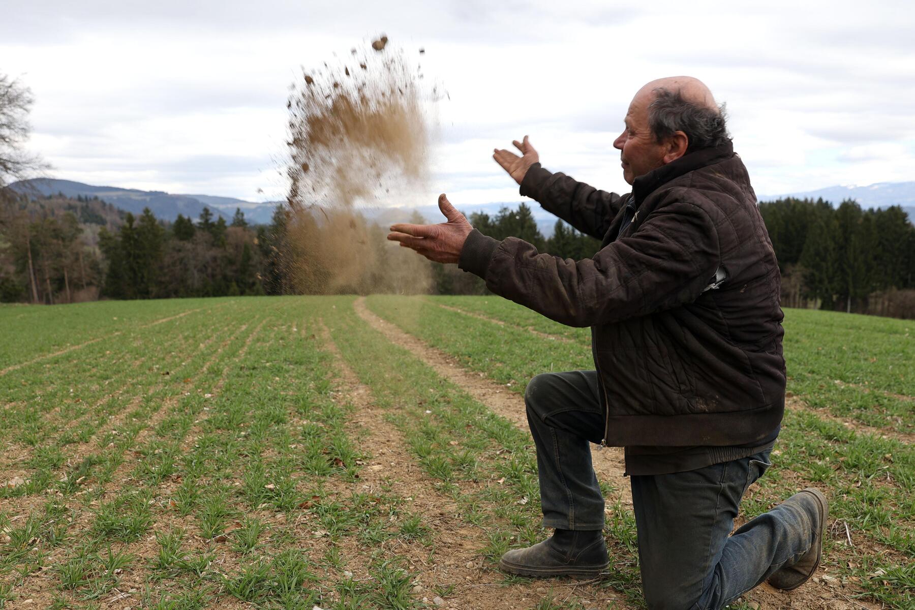 „In 30 Jahren nie erlebt“: Extreme Trockenheit bedroht die Ernte in Kärnten
