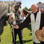 Lipizzaner-Almabtrieb: Bruder Elias segnete die Pferde