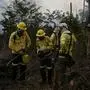 Firefighters rest briefly as they put out fires along the road to Jacunda National Forest, near the city of Porto Velho in the Vila Nova Samuel region which is part of Brazil's Amazon, Monday, Aug. 26, 2019. The Group of Seven nations on Monday pledged tens of millions of dollars to help Amazon countries fight raging wildfires, even as Brazilian President Jair Bolsonaro accused rich countries of treating the region like a "colony." (AP Photo/Eraldo Peres)
