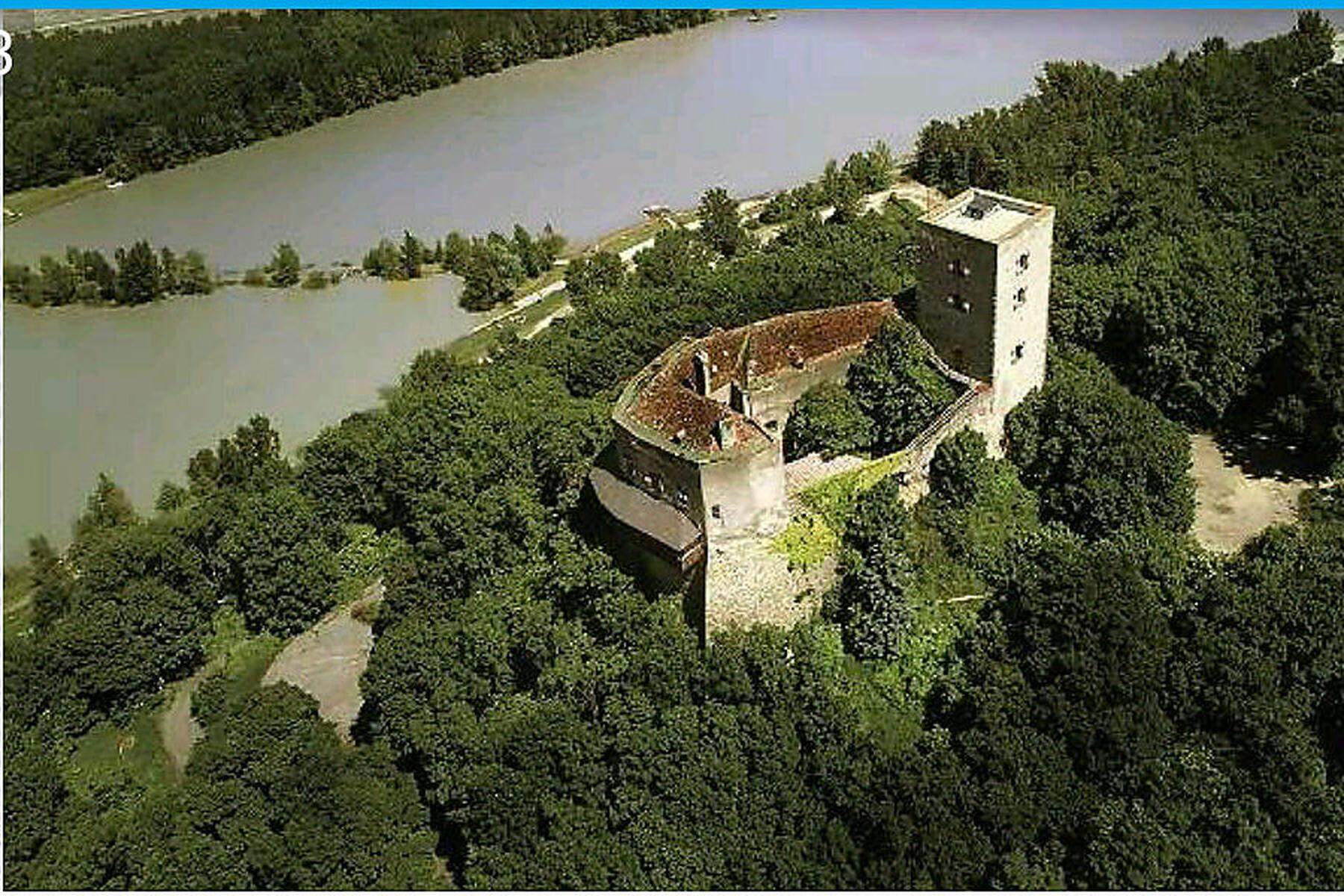 SCHLOSSHERR GESUCHT  Burg Greifenstein wird auf willhaben zum Verkauf  angeboten