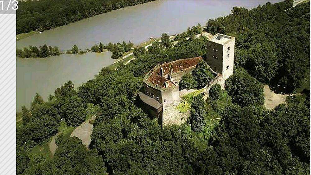 Mittelalterliche Burg Greifenstein wird auf willhaben zum Verkauf angeboten