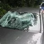 In dem Wagen saß ein Ehepaar. Die beiden kamen mit dem Schrecken davon und blieben zum Glück unverletzt.
