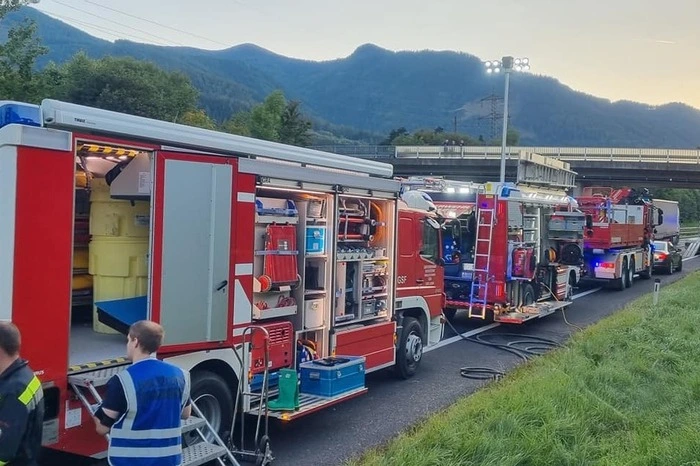 Eine Wespe sorgte dabei für einen Großeinsatz der Feuerwehren.