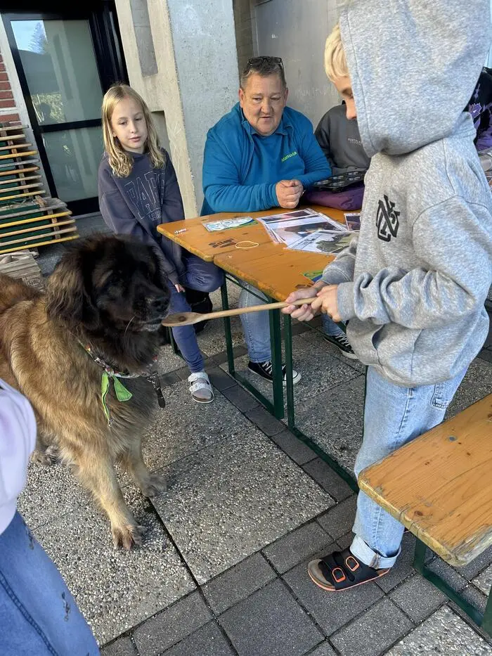 Auch die Therapiebegleithunde Dogs Steiermark unterstützten den Aktionstag