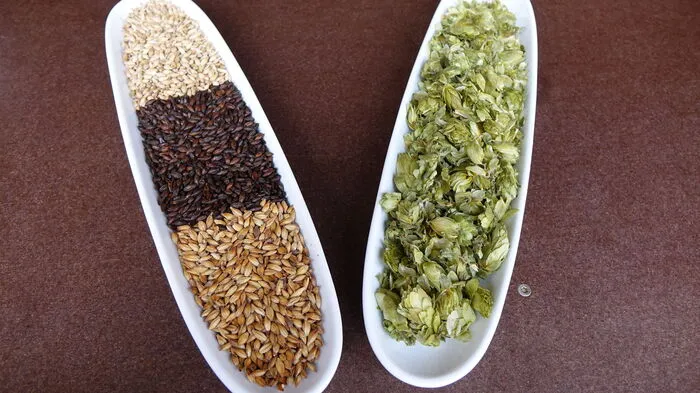 Aus Wiener Malz, Röstmalz, dunklem Karamellmalz und Hopfendolden wird das Bier herstellt.