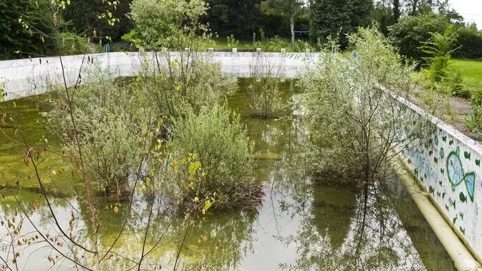 Das Pammerbad, wie es bereits 2012 ausgeschaut hat: Im Becken steht grünliches Wasser, es wachsen mehrere Pflanzen aus dem Becken