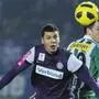 vlnr. Aleksandar Dragovic (Austria) gegen Rene Gartler (Rapid), während der tipp3-Bundesliga-Begegnung zwischen FK Austria Wien und SK Rapid Wien, am Sonntag, 28. November 2010, in Wien. APA-FOTO: ANDREAS PESSENLEHNER