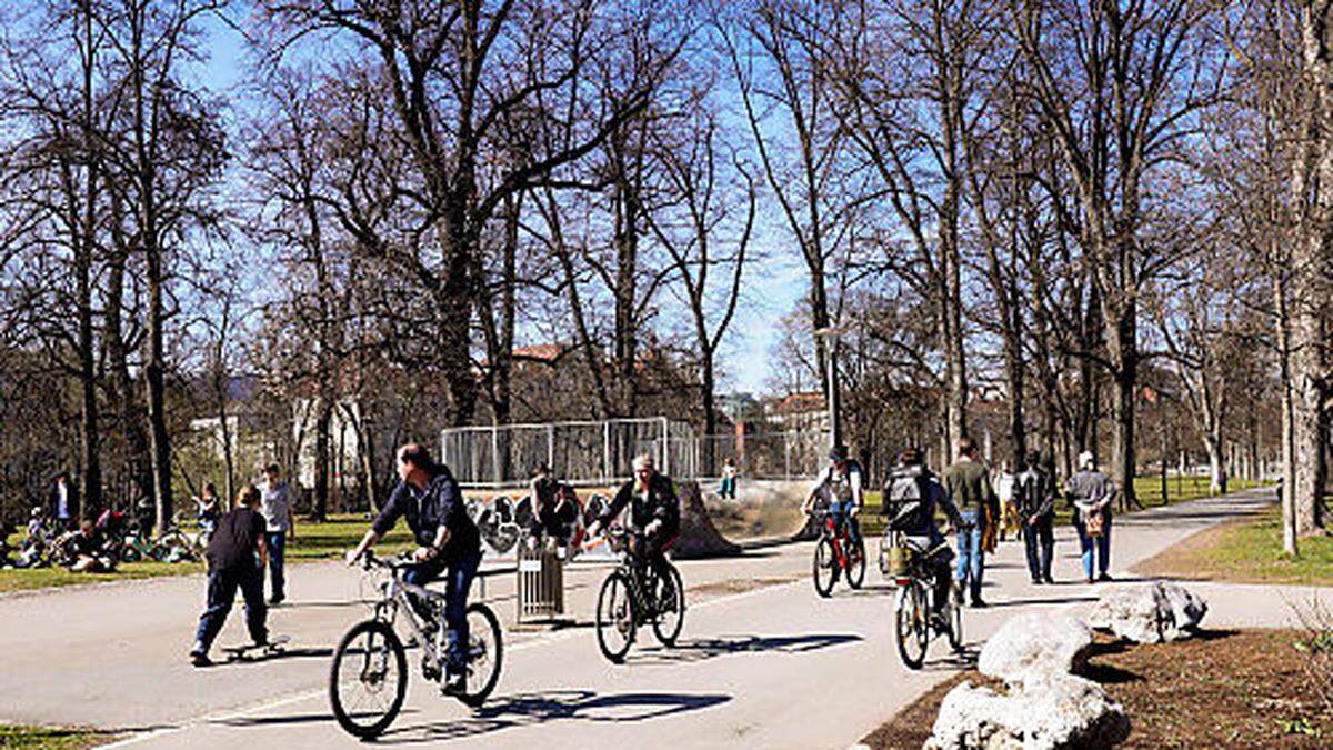 Seit der Errichtung der Augartenbucht führt der Radweg mitten durch den Park. Konflikte waren vorprogrammiert