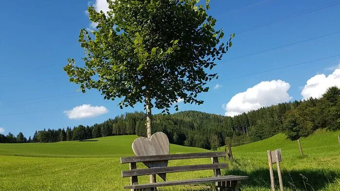 "Das Herzerlbankerl am Eselberg in Mautern, wo ich bei meinen Wanderungen kurz raste und die schöne Gegend genieße", schwärm Leser-Reporter Gerhard Maier.