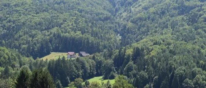 In diesem Bereich im Gebiet Oberhaag soll der geplante Steinbruch errichtet werden