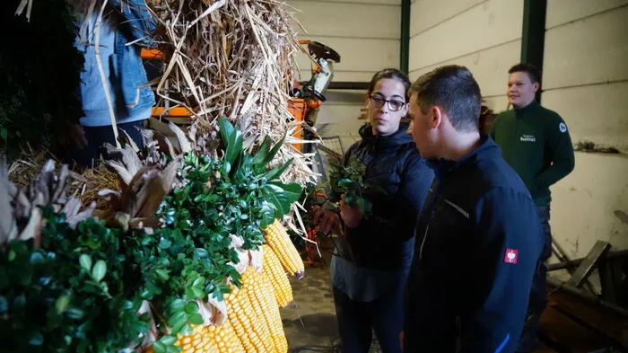 An mehreren Abenden trafen sich die Mitglieder der Rebenlandjugend, um gemeinsam die traditionelle Erntedankkrone zu schmücken.