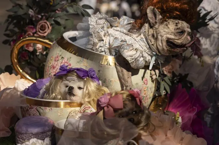 34. Hunde Halloween Parade in New York