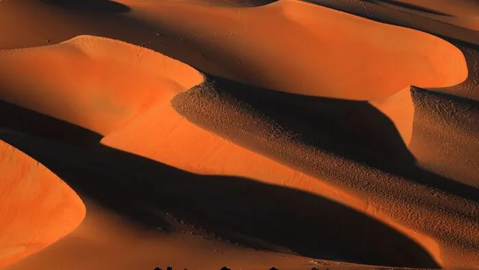 Rund 250 Kilometer westlich des Emirates Abu Dhabi findet jährlich rund um den Jahreswechsel das sogenannte Liwa-Festival statt.
