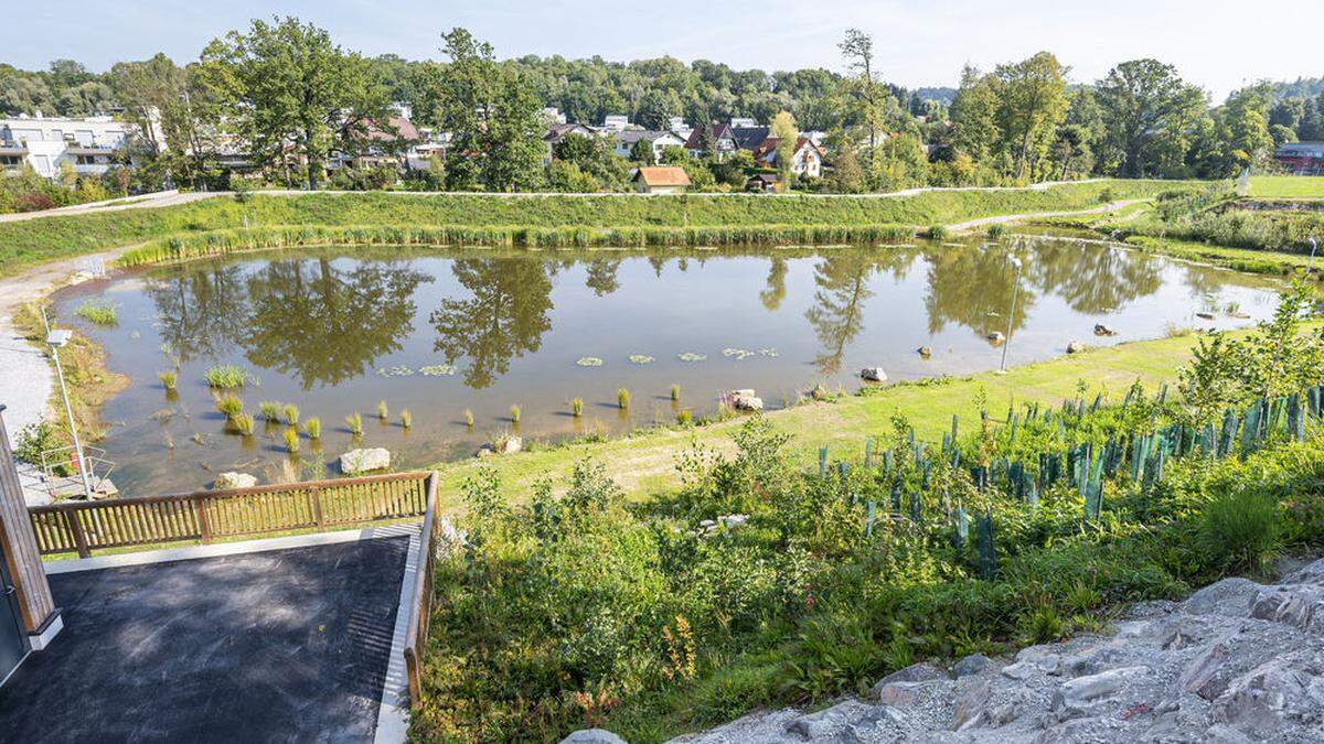 Das neue, renaturierte Hochwasserbecken in St. Peter