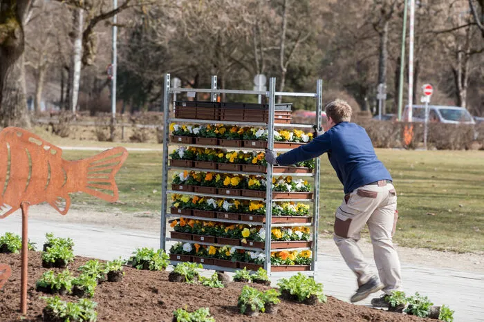 Das Stadtgartenamt rückte aus, um die Blumenbeete neu zu bepflanzen.