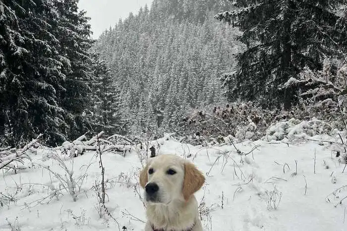 Dieses Foto schickte Leserreporterin Angelika Gumpoltsberger von der Frauenalpe