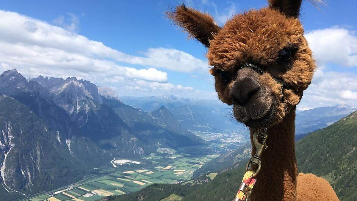 Kreative Ideen von jungen Osttirolern gesucht: 