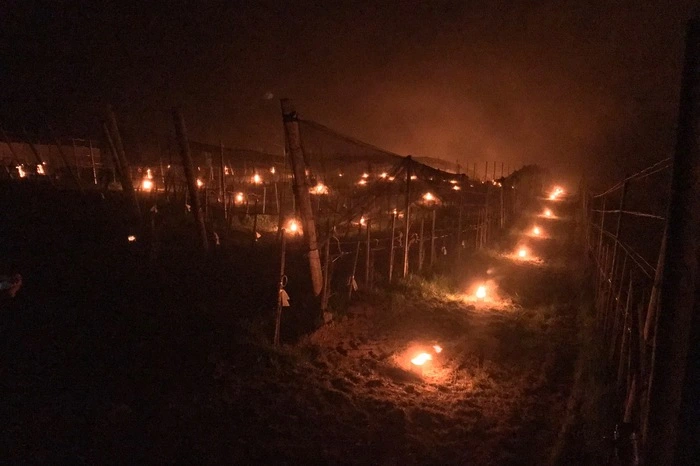 Vielerorts kühlte es auf bis zu minus 6 Grad ab.