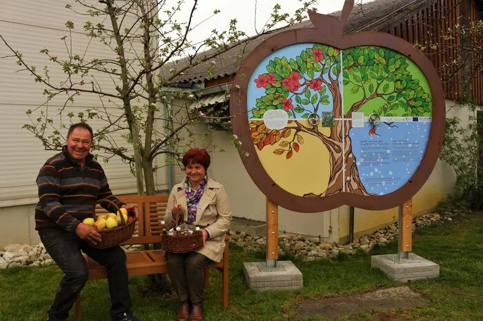 Bei Familie Pangerl lernt man, welche Auswirkungen die vier Jahreszeiten auf den Apfel haben.