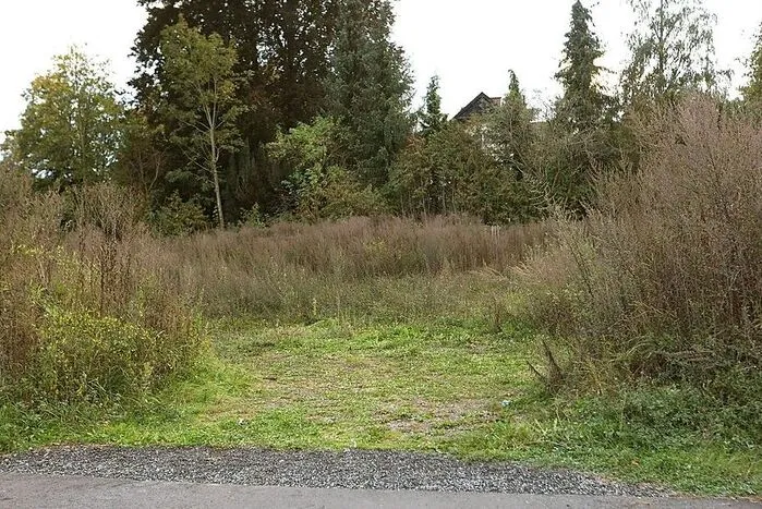 Auf dieser Wiese in Hafnig hat der Täter die beiden Leichen in einem Koffer deponiert. Der Hinweis, wo sie zu finden sind, kam von ihm während seines Geständnisses.