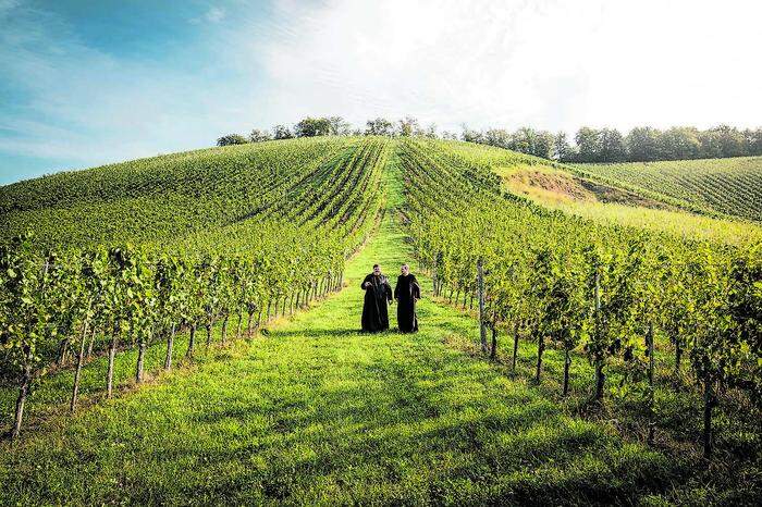 73 Hektar umfassen die Weinberge der Benediktinermönche aus Admont. Ihr Qualitätsbewusstsein trägt wesentlich zum Aufschwung bei, den Furmint gerade erlebt