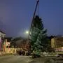 Um dem Trubel zu entgehen, wurde der Christbaum am Neuen Platz frühmorgens aufgestellt.