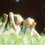 Blumenwiese, Familie, familiaer, Ferien, Freizeit, Geschwister, Gesellschaft, Jahreszeit, Kind, kindlich, Kindheit, Konzept, Landschaft, Leben, Lifestyle, Lebensqualitaet, Liegen, liegend, Mensch, People, Outdoor, Sommer, Sommerferien, Sommerurlaub, Taetigkeit, Urlaub, Urlaubsreise, Holiday, Ferienzeit, Erholungszeit, Wiese, Rasen,   Oesterreich,  Steiermark,  Europa,  2000/06/06,  Ferienlager, Feriencamp