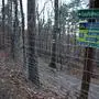 Durch die Einzäunung eines Waldstückes am Pöllauberg wird ein beliebter Wanderweg abgesperrt. Ein Ersatz wird gesucht.