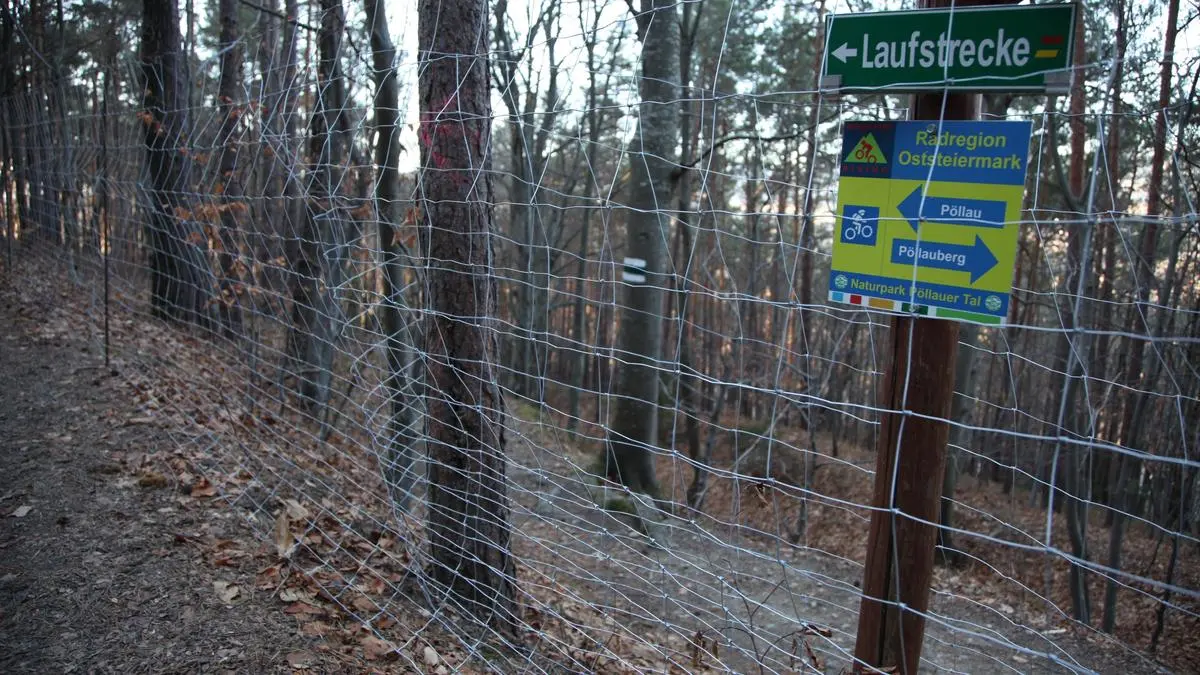 Durch die Einzäunung eines Waldstückes am Pöllauberg wird ein beliebter Wanderweg abgesperrt. Ein Ersatz wird gesucht.