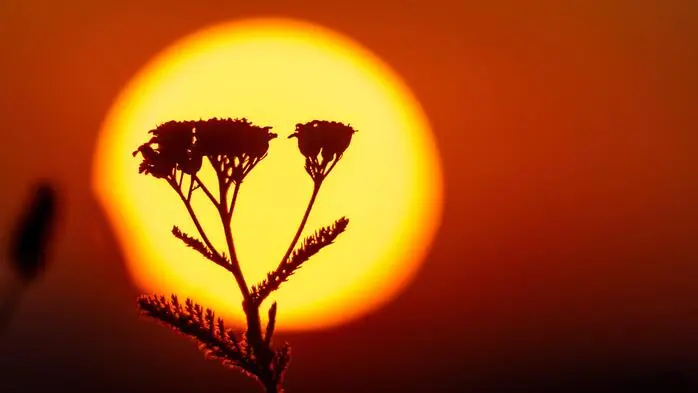 Die heißen Temperaturen haben Europa fest im Griff (Sujetbild)