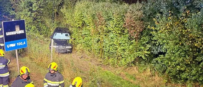 Die Insassen des Pkw blieben bei dem Unfall unverletzt