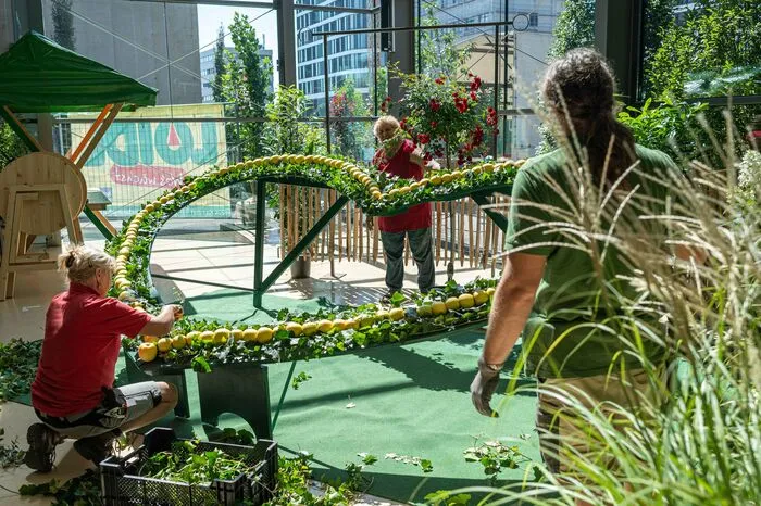 Am Donnerstag wird die Grazer Stadthallezum Gipfel der grünen Daumen. Der Landesblumenschmuckbewerb feiert ab 9 Uhrmit der Leistungsschau der Gärtner, Floristen und Baumschulen im Foyer der Grazer Stadthallesein 60-jähriges Jubiläum.