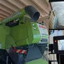 Rückfahrkamera mit künstlicher Intelligenz 