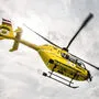 Der Pilot konnte den Hubschrauber sicher landen