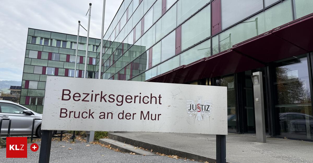 Streit-eskalierte-Faustschlag-im-Bus-Ich-wollte-ihn-nicht-verletzen-