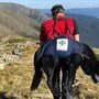 Der Schäferhund wurde von den Bergrettern ins Tal getragen