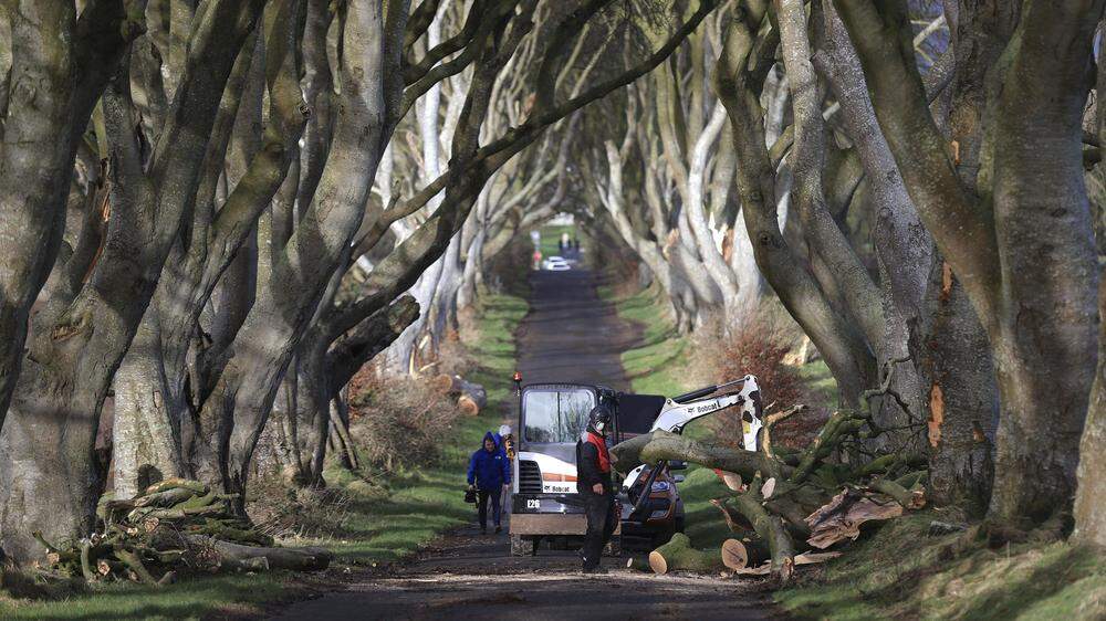Sturm „Isha“ hat in Nordirland auch für Schäden in der „Game of Thrones“-Allee gesorgt