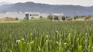 Das Magna-Werk (Bild) und das Amazon-Verteillager befinden sich im Osten der Stadt