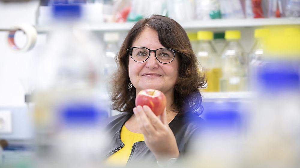 Die Grazer Biologin und Biotechnologin Gabriele Berg forscht zum Thema Mikrobiom, etwa des Apfels