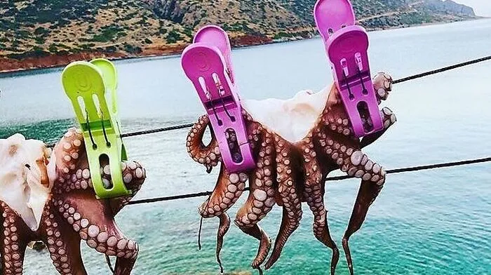 Das Bild von Moritz Bleibtreu, gepostet auf Instagram.
