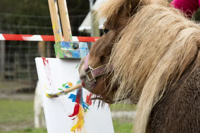 Da man im Animal Training Center schon eine ganze Reihe Kunstwerke gesammelt hatte, lud man kürzlich zur ersten Tier-Vernissage Österreichs.
