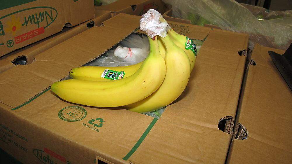 Die Firma Frutura lässt Bananen reifen, das bedeutet auch reiche Ernte für die Finanzen der Gemeinde Hartl
