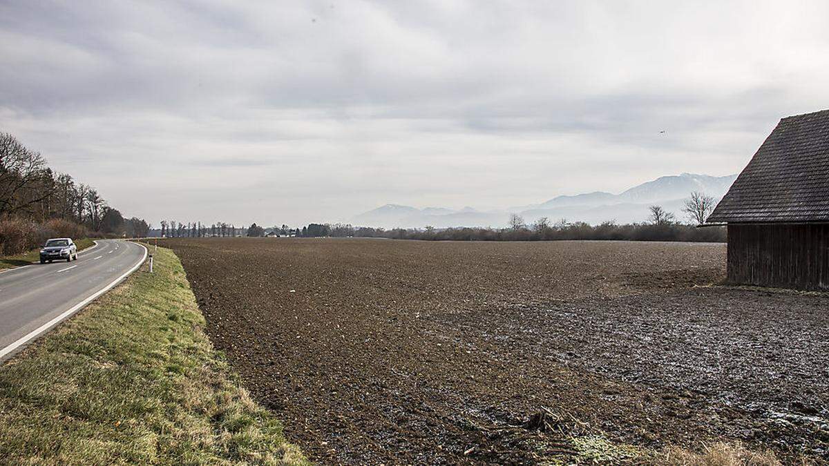 Auf diese Wiese könnte das neue Gefängnis gebaut werden