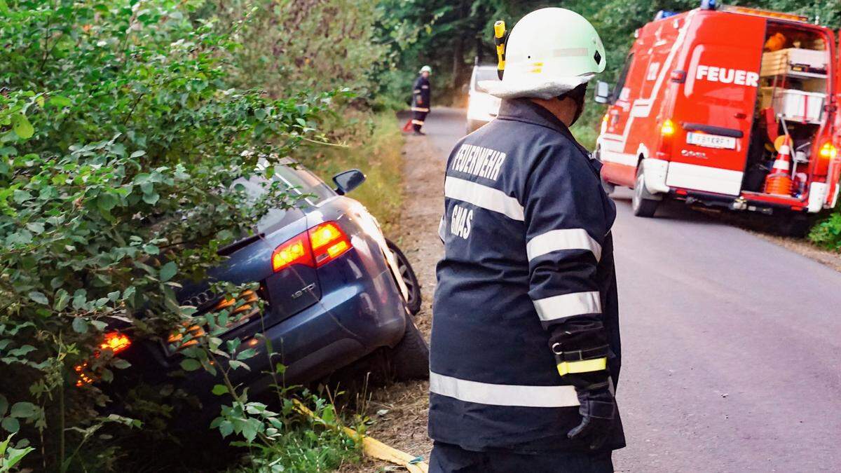 Der Pkw blieb in den Büschen hängen