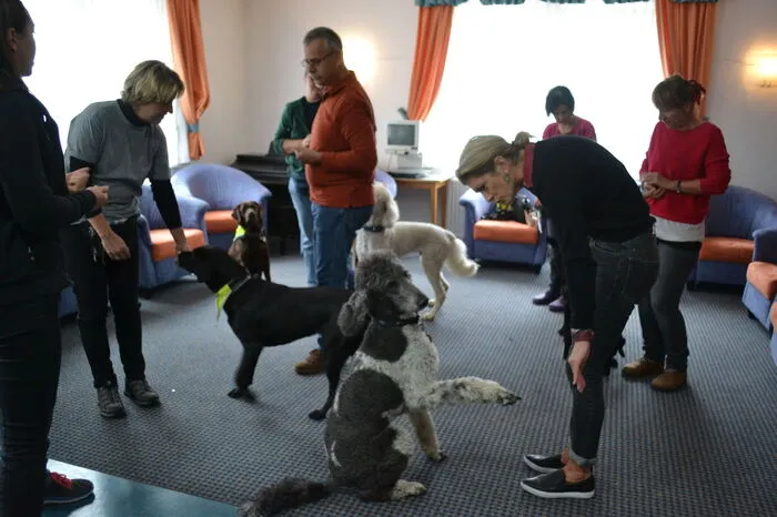 Entspannungsübungen und andere Bewegungsabläufe als Ausgleich, wie etwa Dogdance oder Tricks, seien wichtig für die Tiere, deren Arbeit als Blindenführhund – mit vor allem einseitigen Bewegungen – fordernd ist.