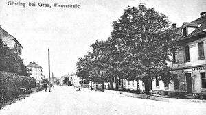 Undatierte Postkarte aus der Wiener Straße