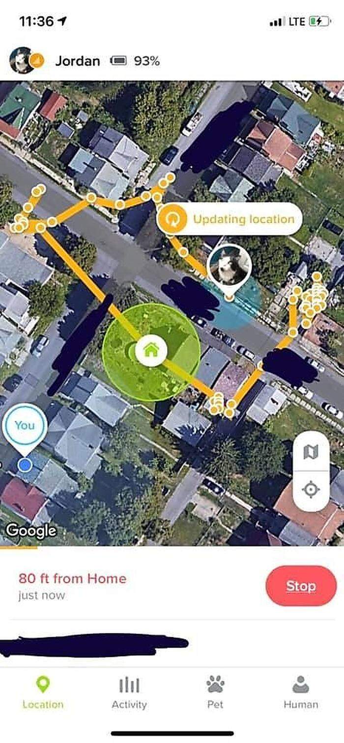 Eine App zeichnet die Diebestouren des Katers in der Nachbarschaft auf