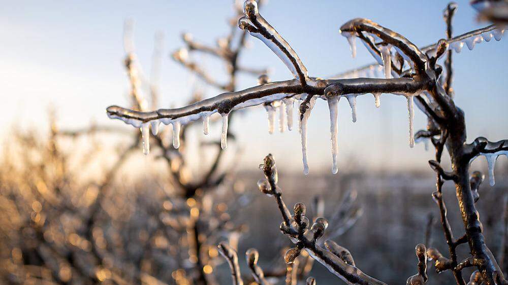 Und wieder rechnen die Meteorologen mit Frost im Süden des Landes